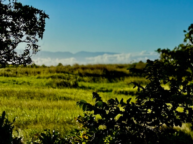 54-322 Union Mill Road Kapaau, HI 96755 - Photo 8 of 30
