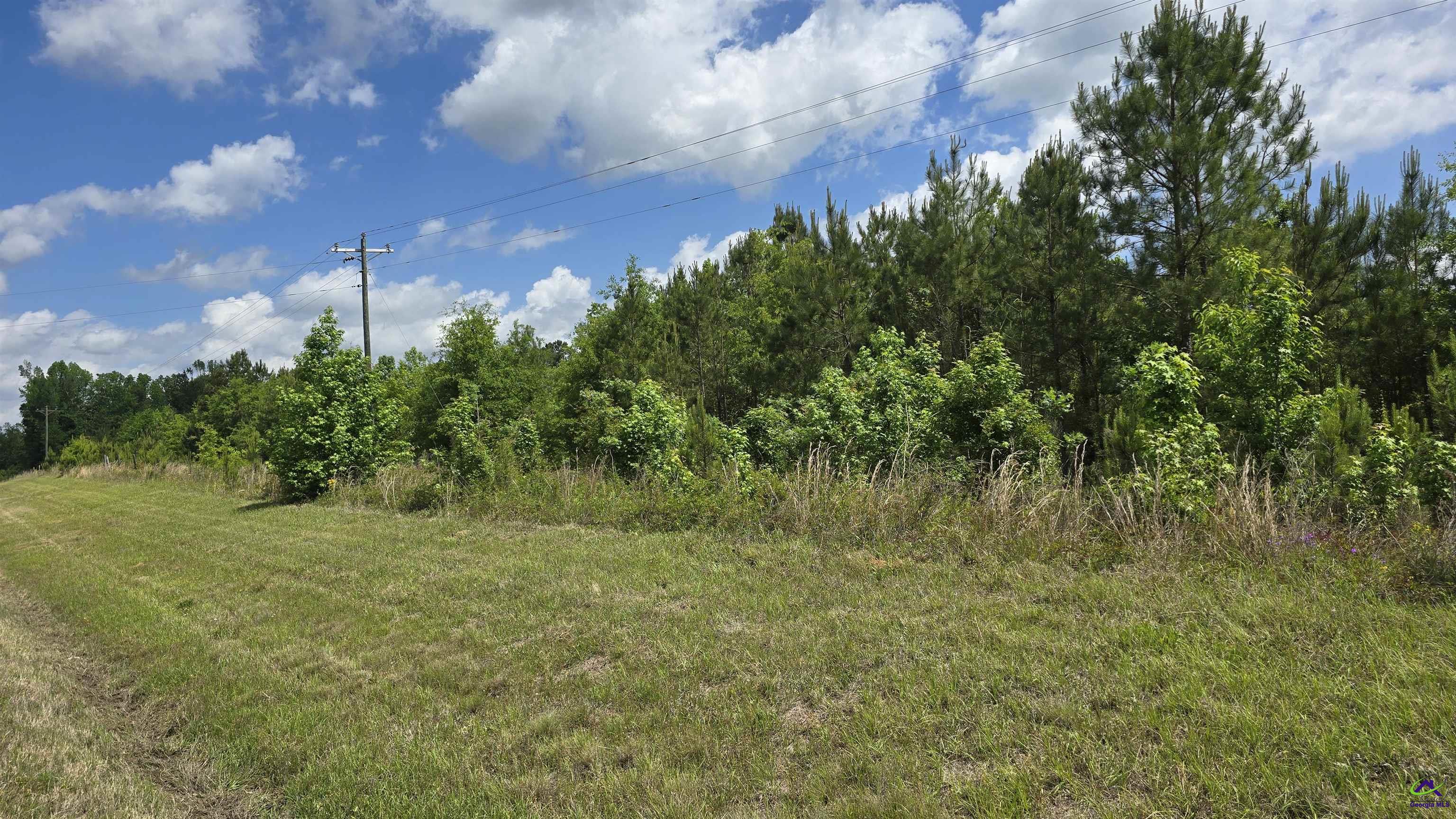 0 South S Highway Dublin, GA 31021 - Photo 2 of 13 a big yard with lots of green space and bushes
