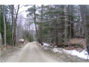 164 Driscoll Road Deering, NH 03244 - Photo 5 of 5 Gallery Image 5
