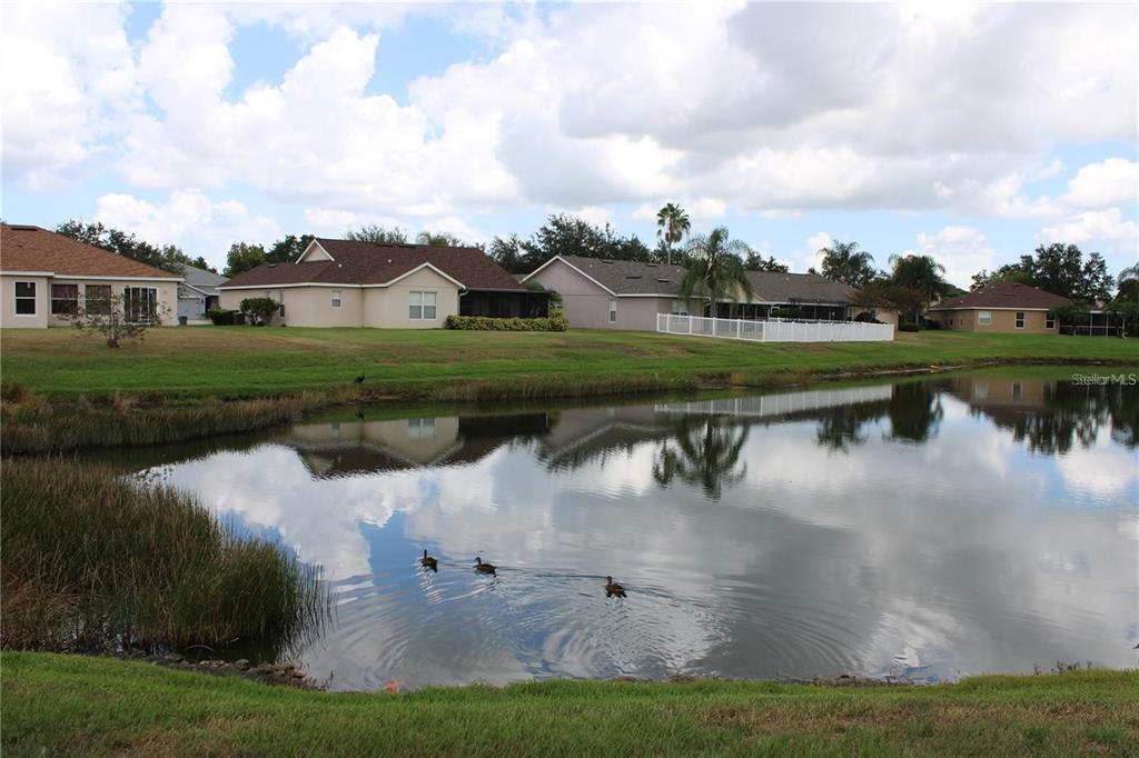 11479 Walden Loop Parrish, FL 34219 - Photo 38 of 49