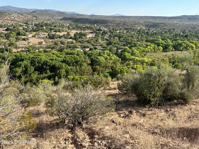 a view of a big yard with lots of trees
