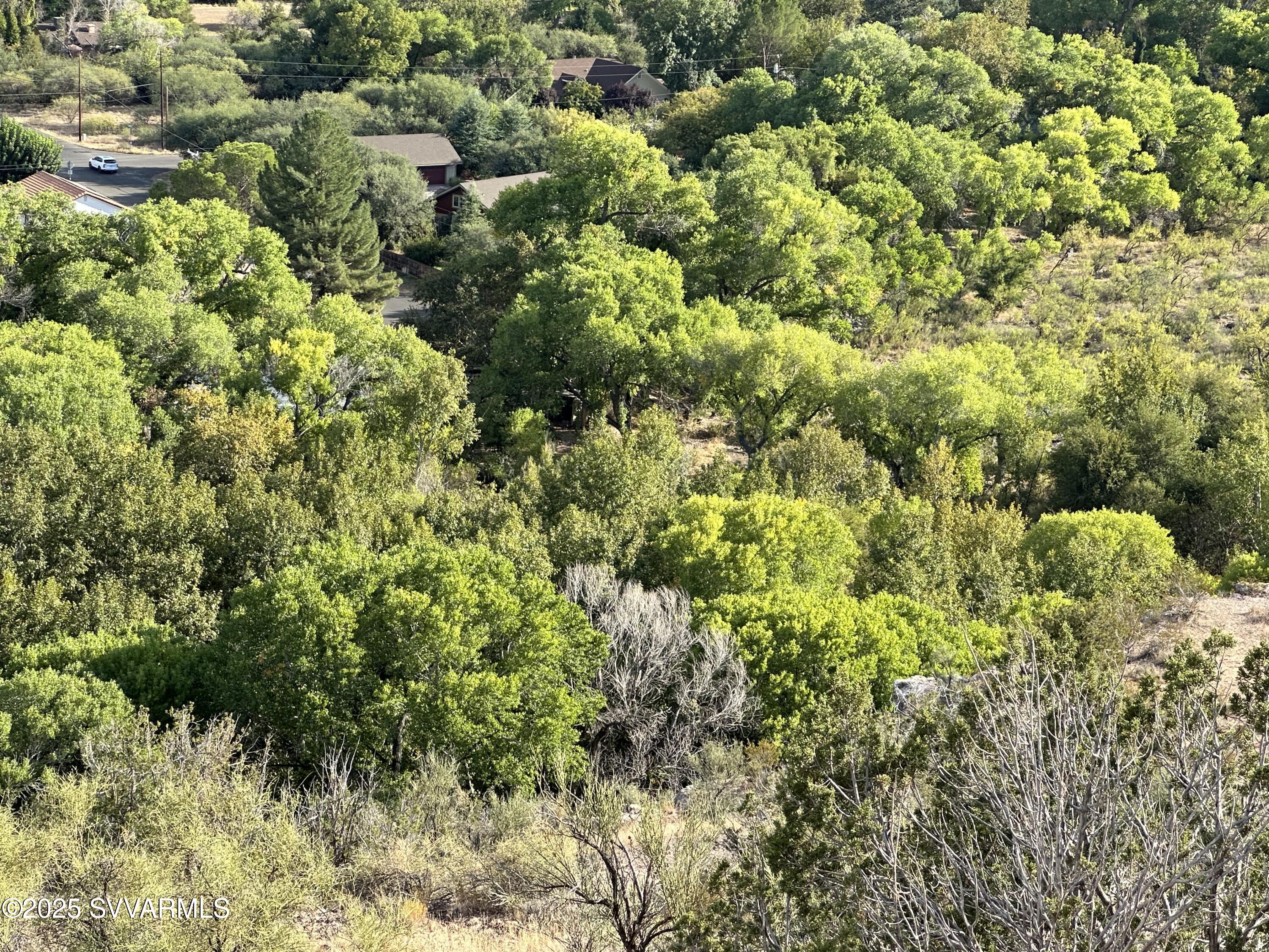 4750 Thunderhead Trail, Unit 227 Rimrock, AZ 86335 - Photo 2 of 23 a view of a garden with a plant