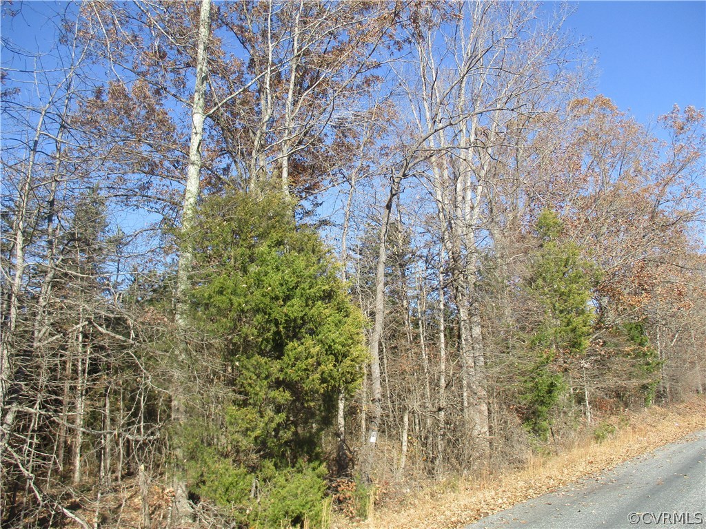 0 Deuprees Road Drakes Branch, VA 23937 - Photo 4 of 5