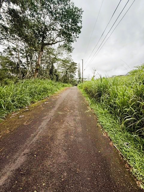 178 Mayzee Road Pahoa, HI 96778 - Photo 1 of 9