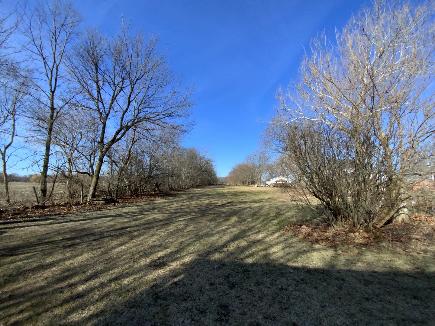 403 Rhodes Avenue Big Rock, IL 60511 - Photo 41 of 48 a view of dirt yard with a large tree