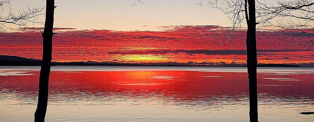 1197 Bay Road Brooklin, ME 04616 - Photo 46 of 143 Sunset