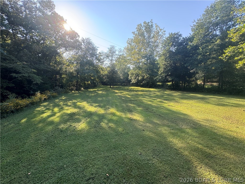 184 State Park Road Brumley, MO 65017 - Photo 93 of 100 Lower Field