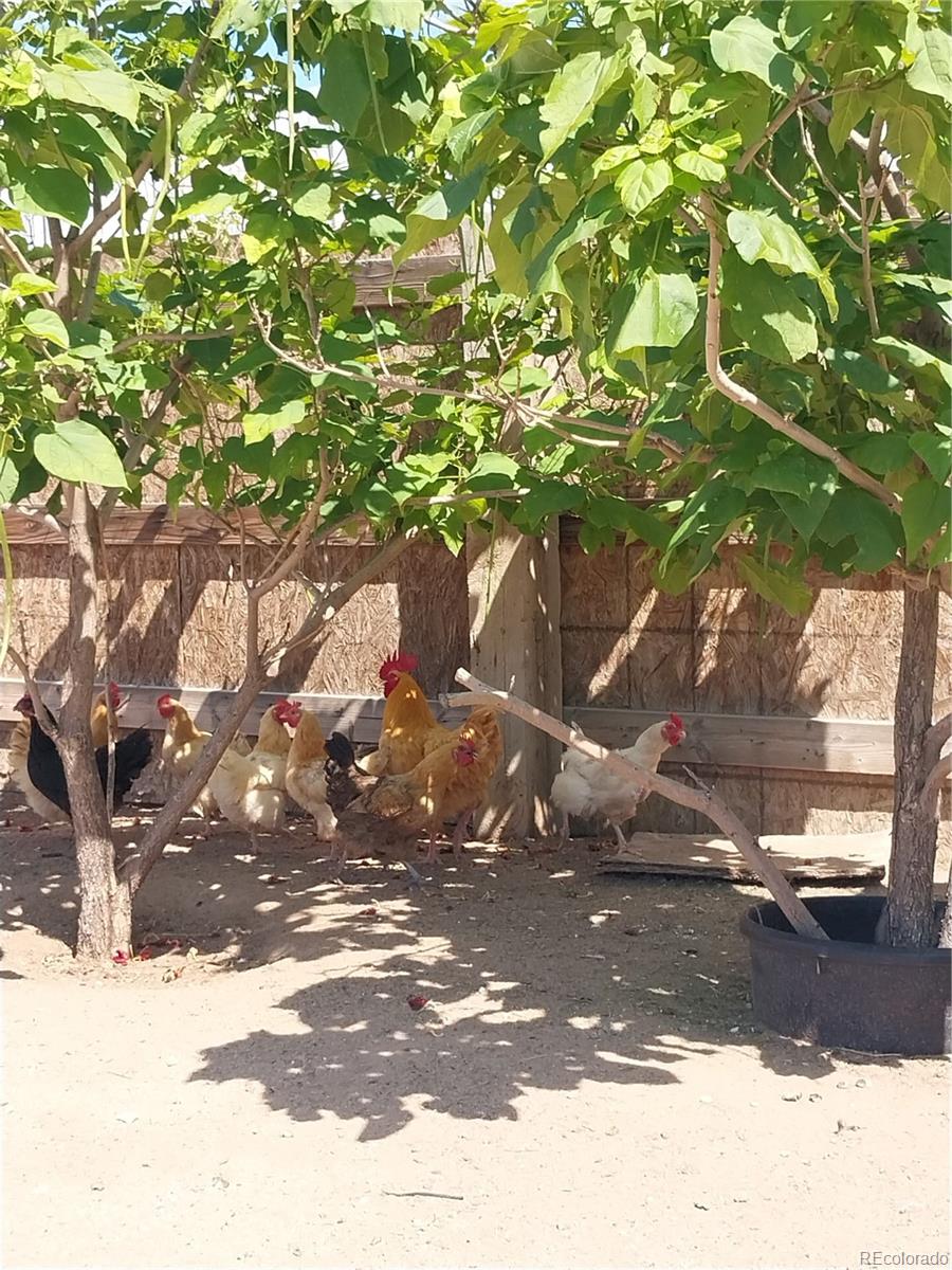 6642 Co Road Wiggins, CO 80654 - Photo 10 of 17 a view of a tree