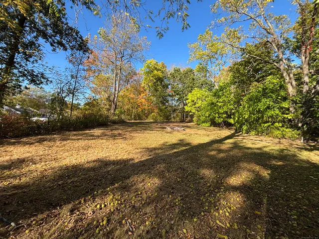 a view of yard with large trees