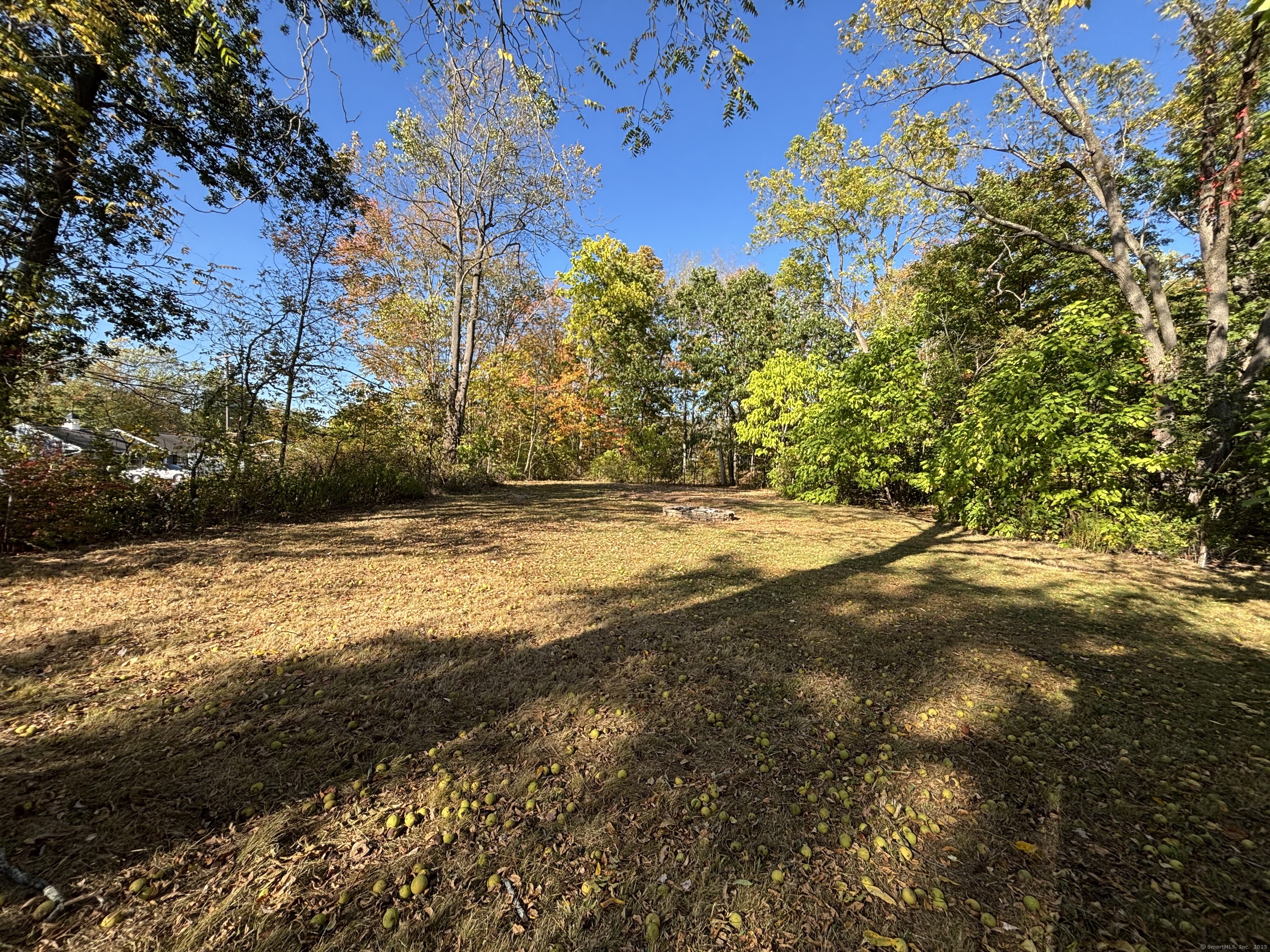 358 Ballfall Road Middletown, CT 06457 - Photo 1 of 1 a view of yard with large trees