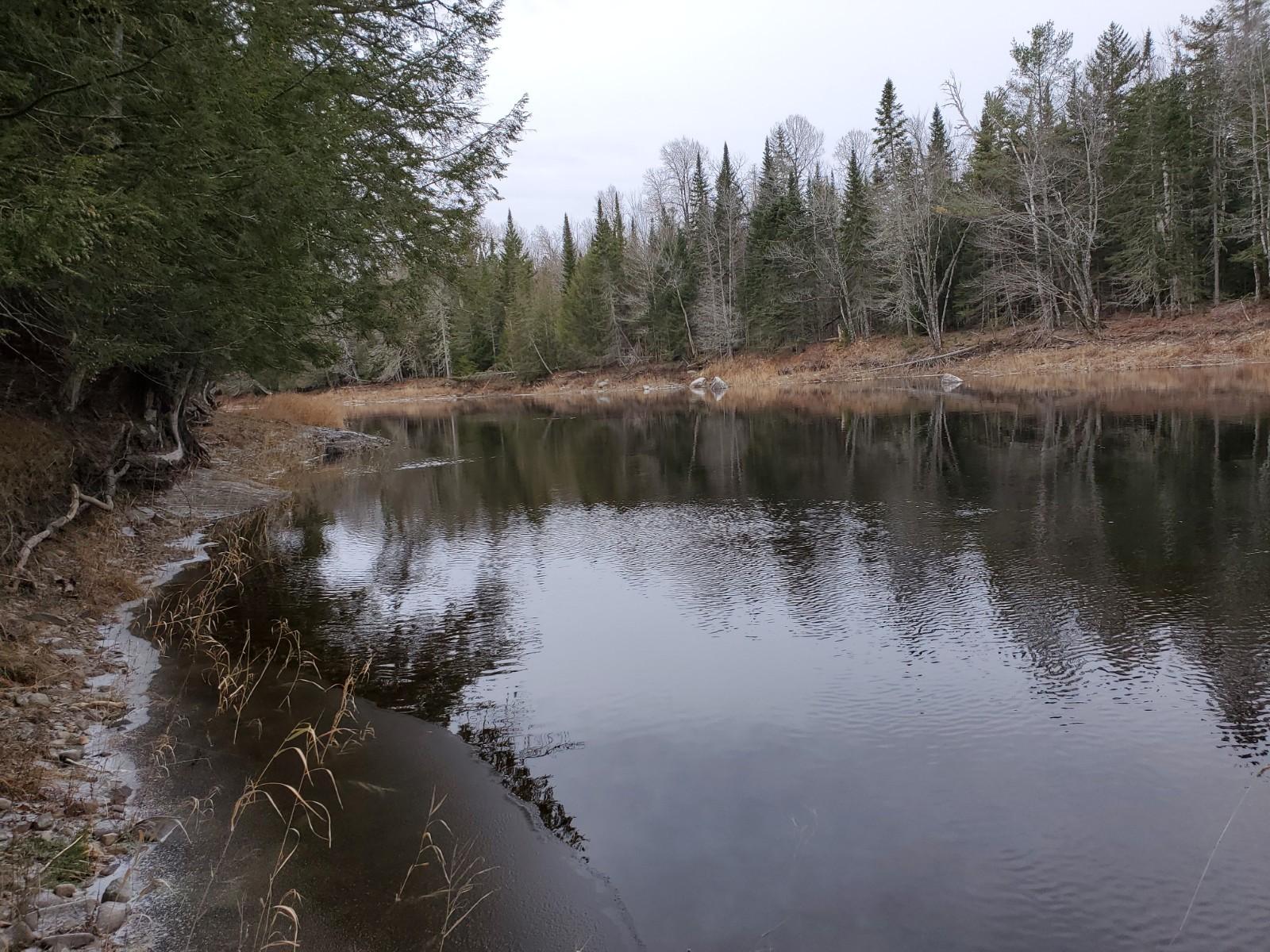 Lot 7 South Haynes Road Wytopitlock, ME 04497 - Photo 2 of 8 20201119_141138