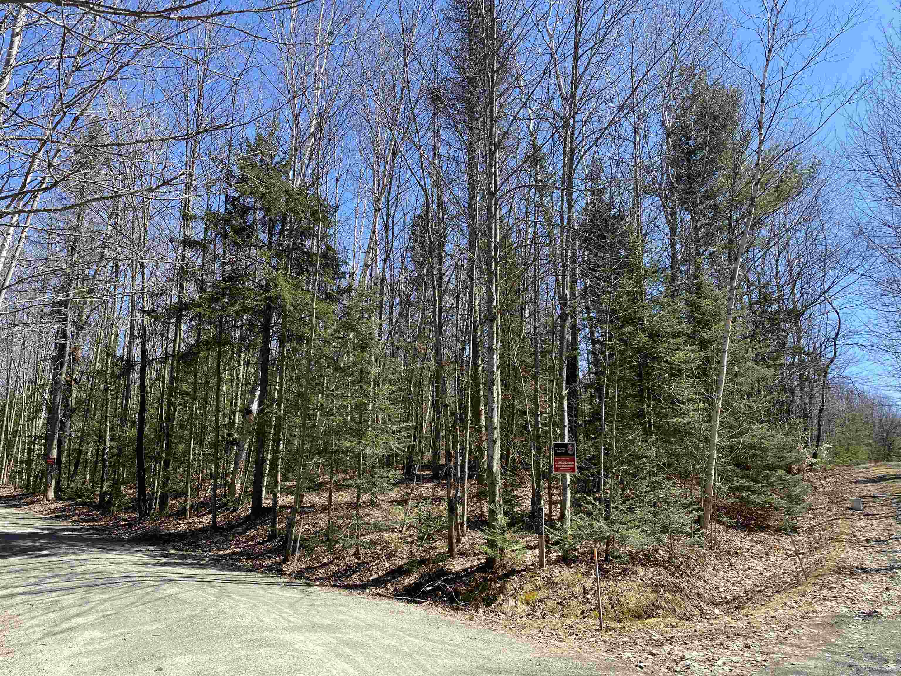 409 Doyle Lane Barton, VT 05822 - Photo 1 of 8 Gallery Image 1