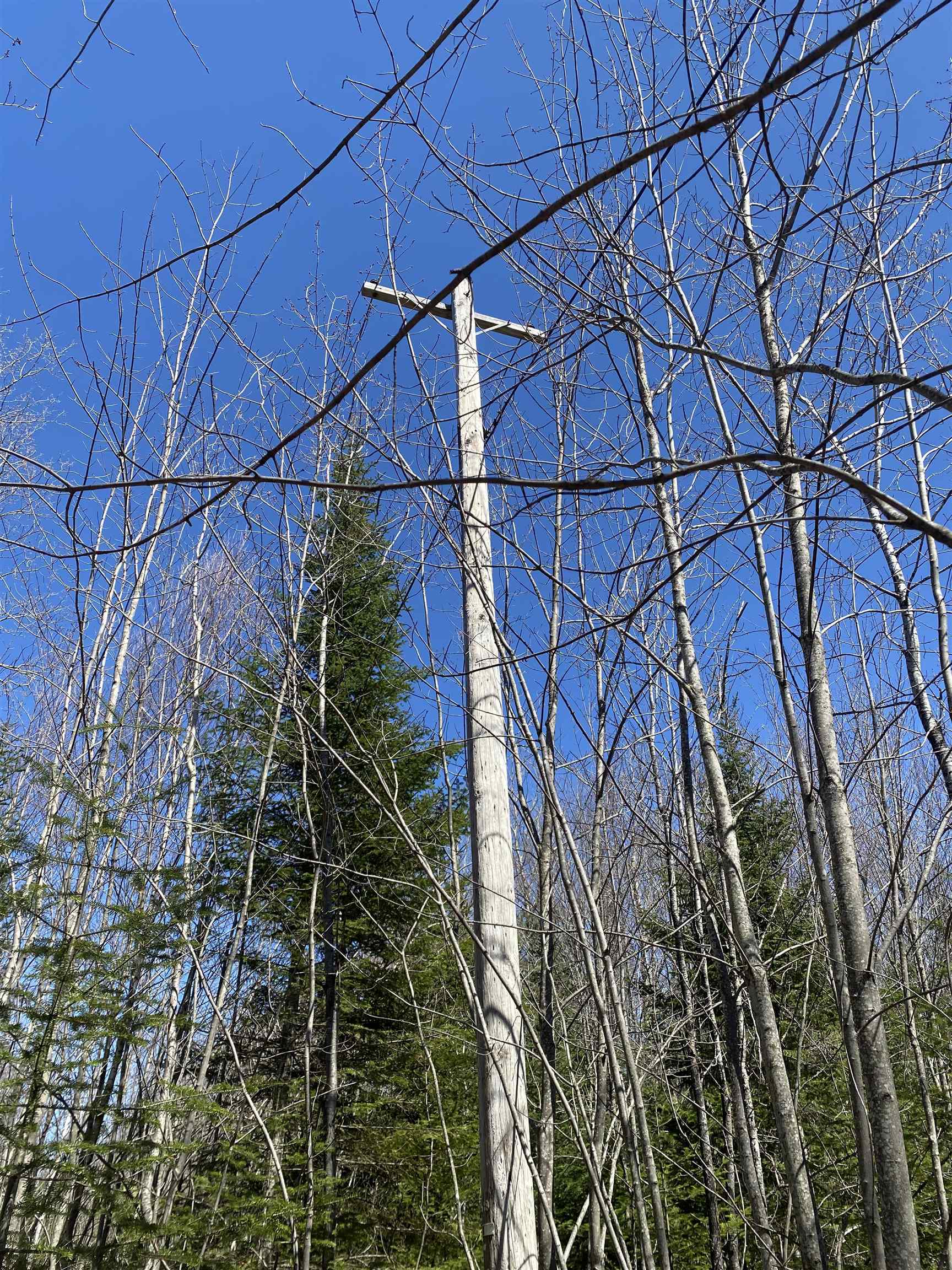 409 Doyle Lane Barton, VT 05822 - Photo 3 of 8 Gallery Image 3