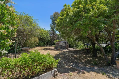a view of a outdoor space with trees