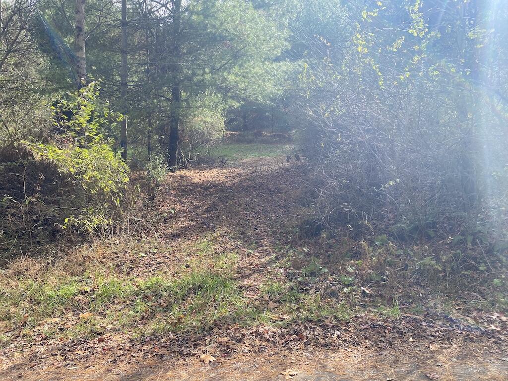 Tbd Merifield Road Northwest Willis, VA 24380 - Photo 2 of 25 IMG_5425