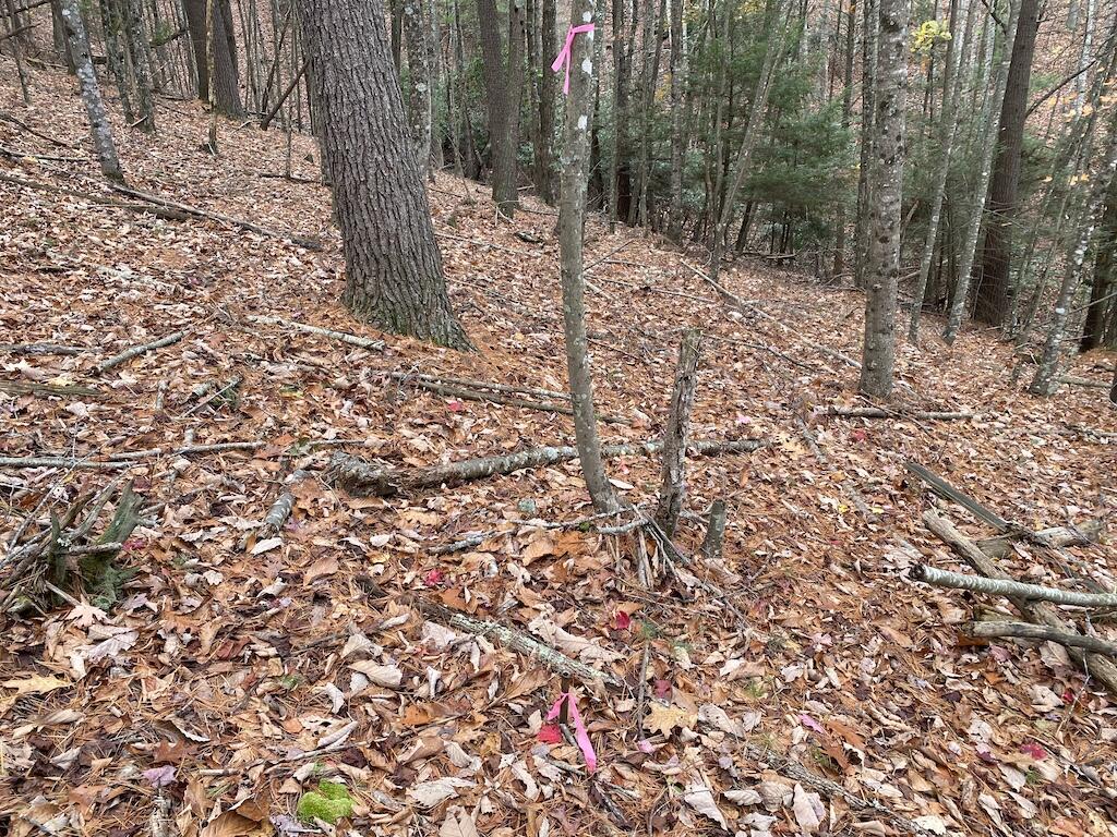 Tbd Merifield Road Northwest Willis, VA 24380 - Photo 21 of 25 IMG_5446