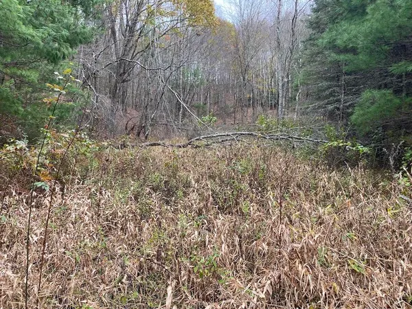 $119,000 | Tbd Merifield Road Northwest, Willis, VA 24380