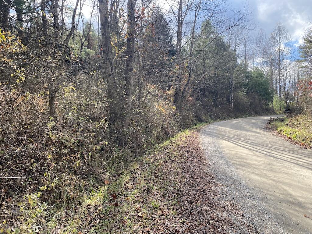 Tbd Merifield Road Northwest Willis, VA 24380 - Photo 24 of 25 IMG_5423