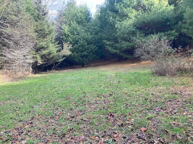a view of a yard with a trees