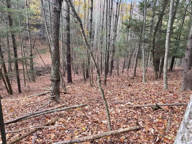 a view of a yard covered in snow