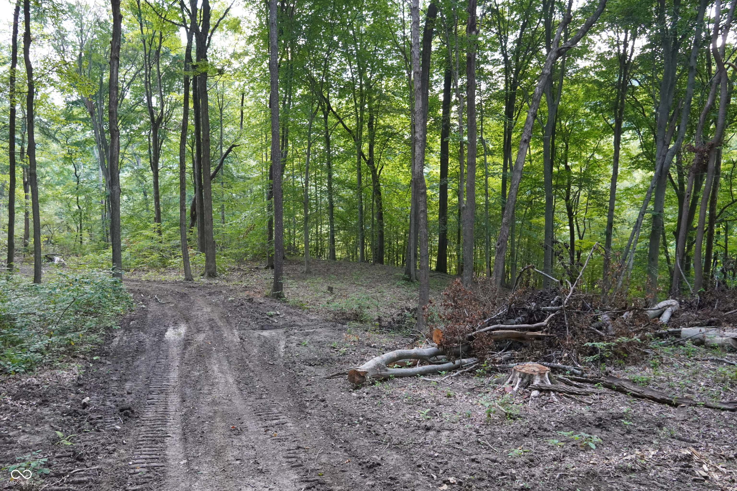 9830 Low Gap Road Martinsville, IN 46151 - Photo 191 of 192 Gallery Image 191
