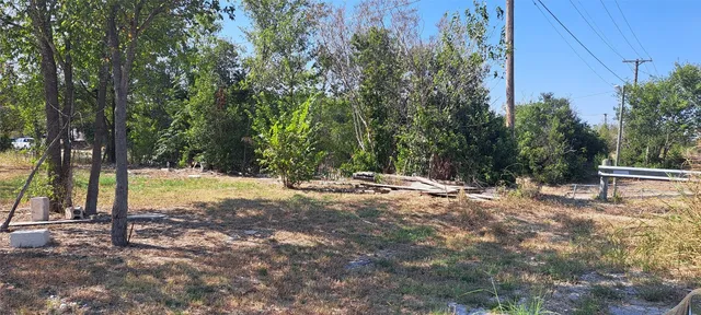 a view of backyard with tree