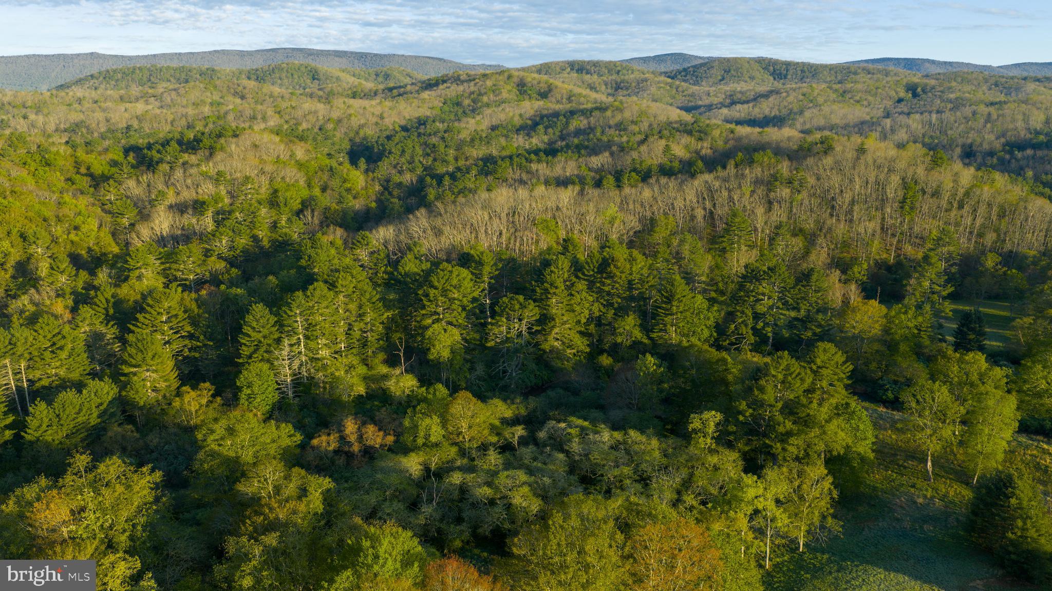 199 Green Bank Road Arbovale, WV 24915 - Photo 65 of 113