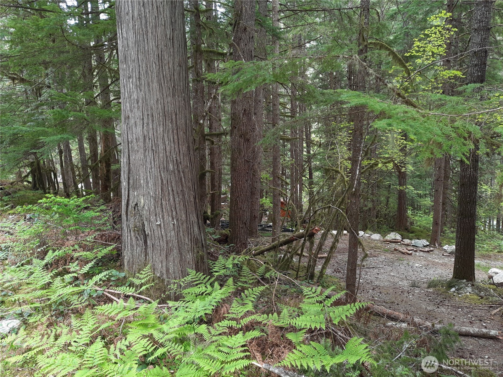 0 Cascade River Road Marblemount, WA 98267 - Photo 1 of 10 Gallery Image 1