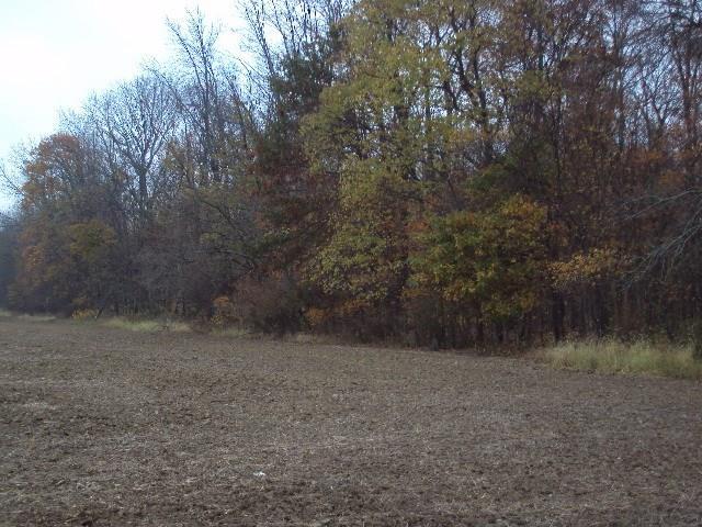 0 Davidson Road New Madison, OH 45346 - Photo 4 of 6