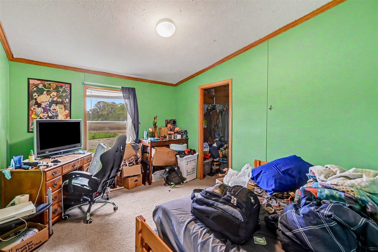 10952 Frost Road Portland, MI 48875 - Photo 13 of 21