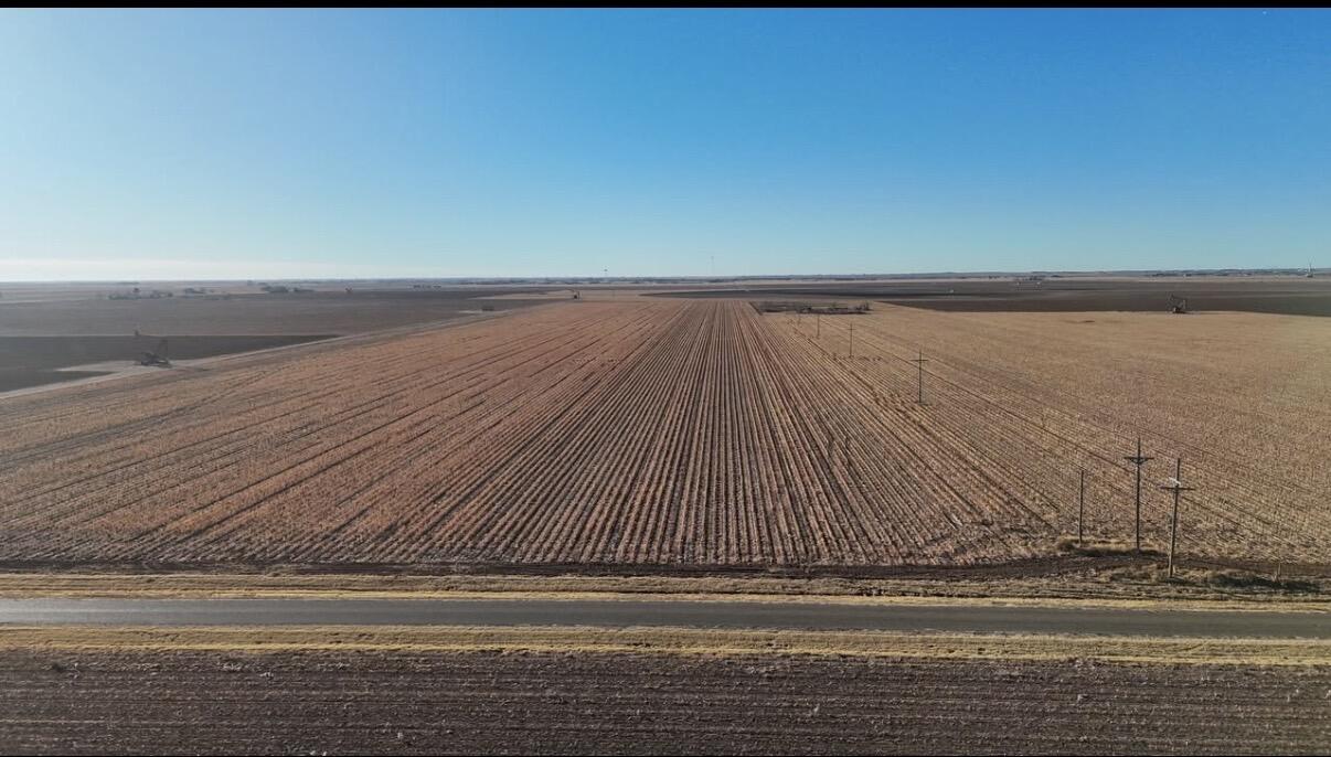 8122 East C R 6710 Lubbock, TX 79403 - Photo 3 of 5 a view of wooden floor