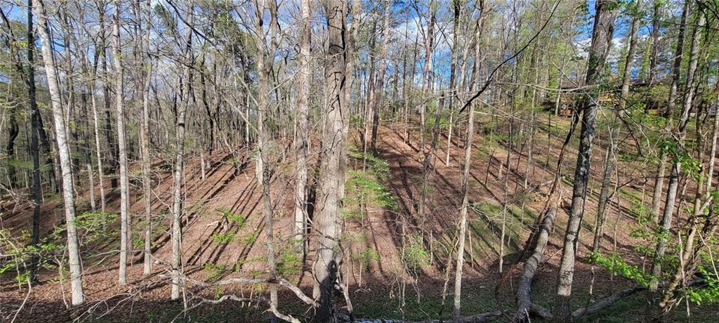 415 Wilderness Camp Road Southeast White, GA 30184 - Photo 1 of 1 Gallery Image 1