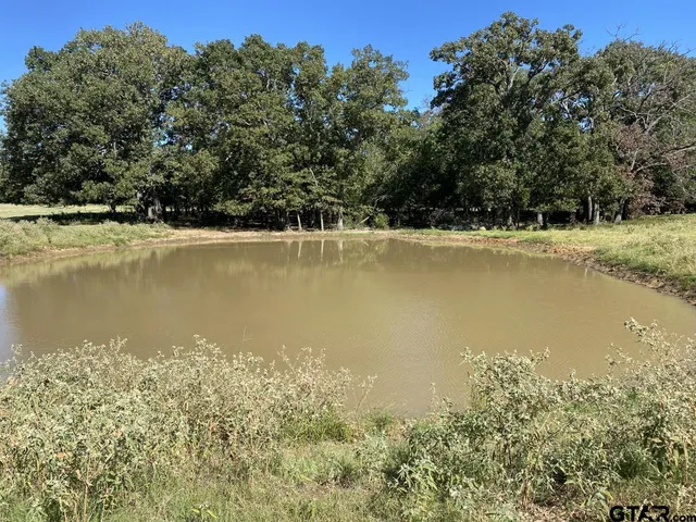 $950,000 | 67 East Mt Vernon Tx 75457, Mount Vernon, TX 75457