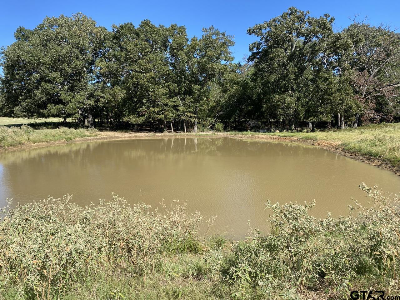 67 East Mt Vernon Tx 75457 Mount Vernon, TX 75457 - Photo 11 of 21