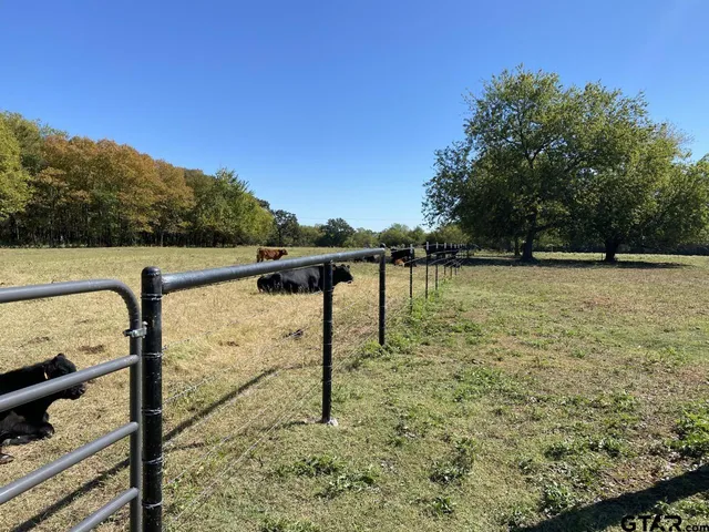 $950,000 | 67 East Mt Vernon Tx 75457, Mount Vernon, TX 75457