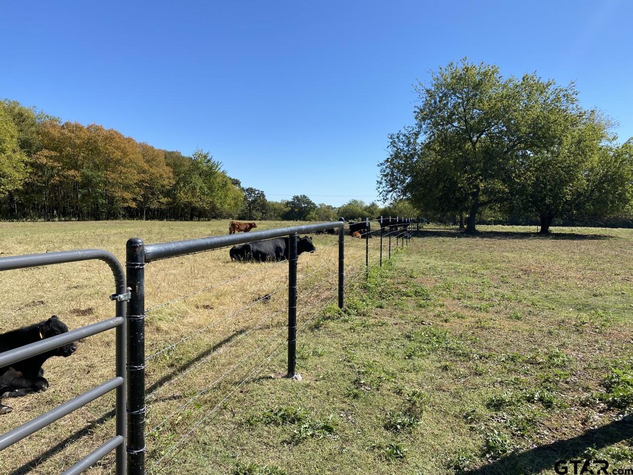 67 East Mt Vernon Tx 75457 Mount Vernon, TX 75457 - Photo 12 of 21