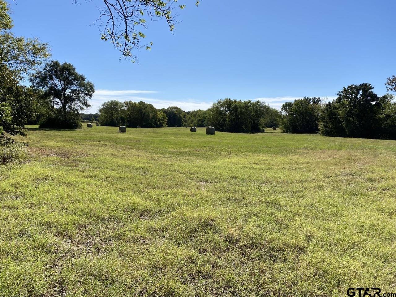 67 East Mt Vernon Tx 75457 Mount Vernon, TX 75457 - Photo 13 of 21