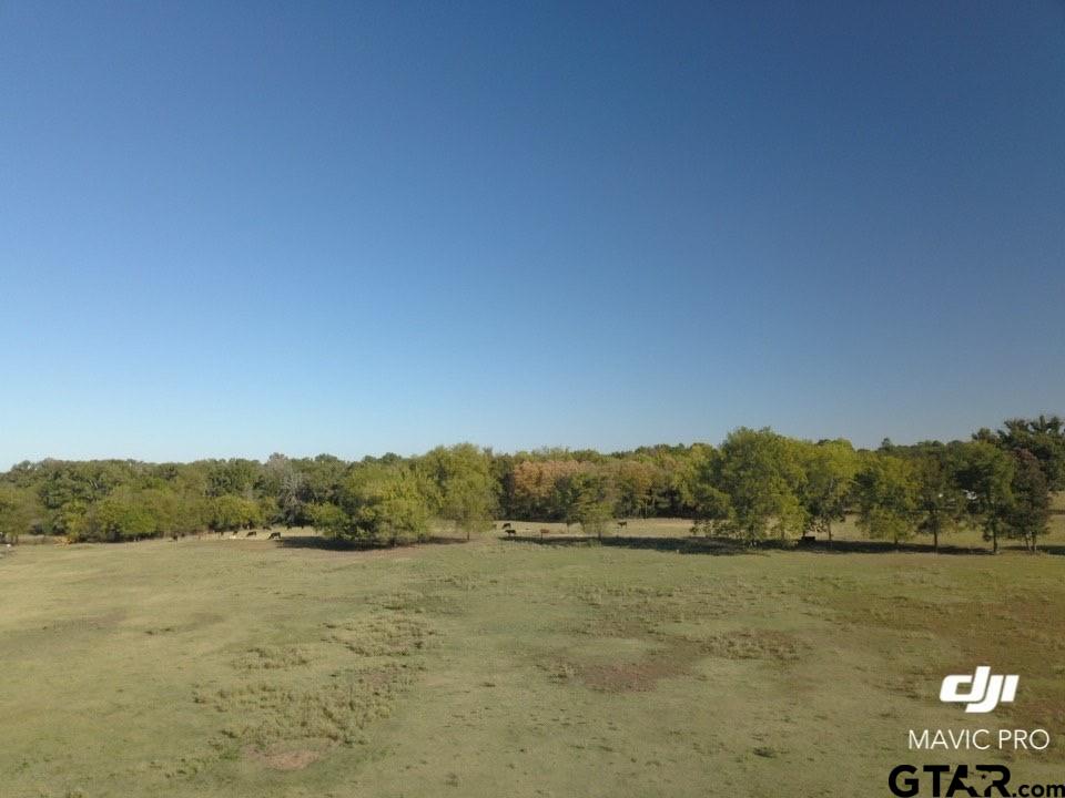 67 East Mt Vernon Tx 75457 Mount Vernon, TX 75457 - Photo 15 of 21