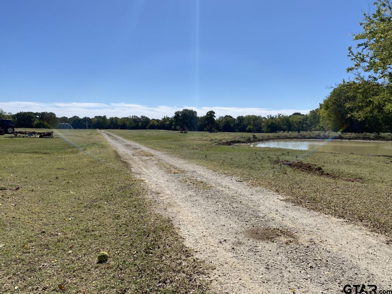 67 East Mt Vernon Tx 75457 Mount Vernon, TX 75457 - Photo 5 of 21