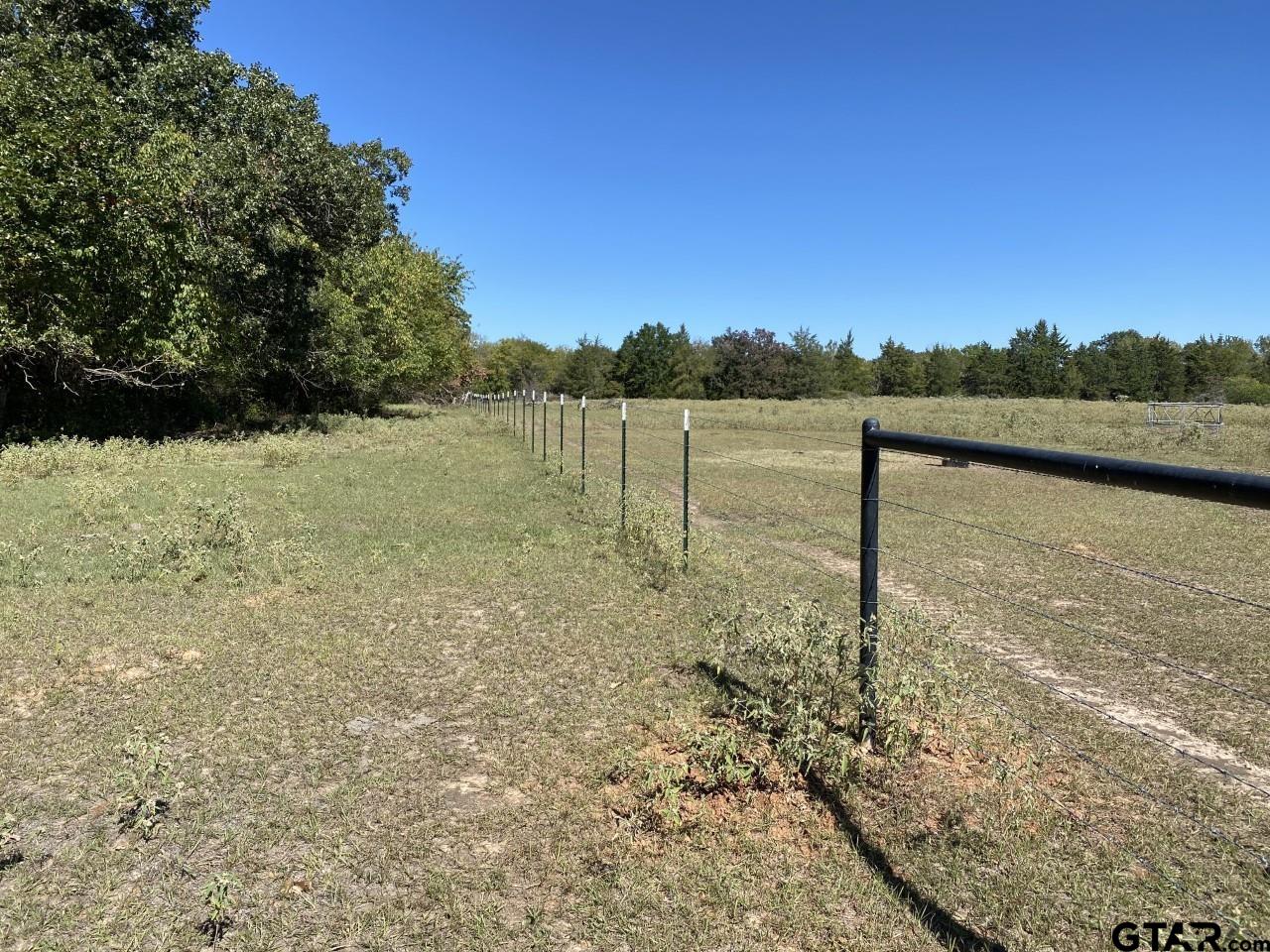 67 East Mt Vernon Tx 75457 Mount Vernon, TX 75457 - Photo 8 of 21