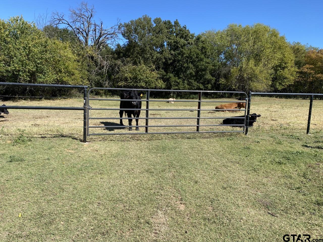 67 East Mt Vernon Tx 75457 Mount Vernon, TX 75457 - Photo 9 of 21