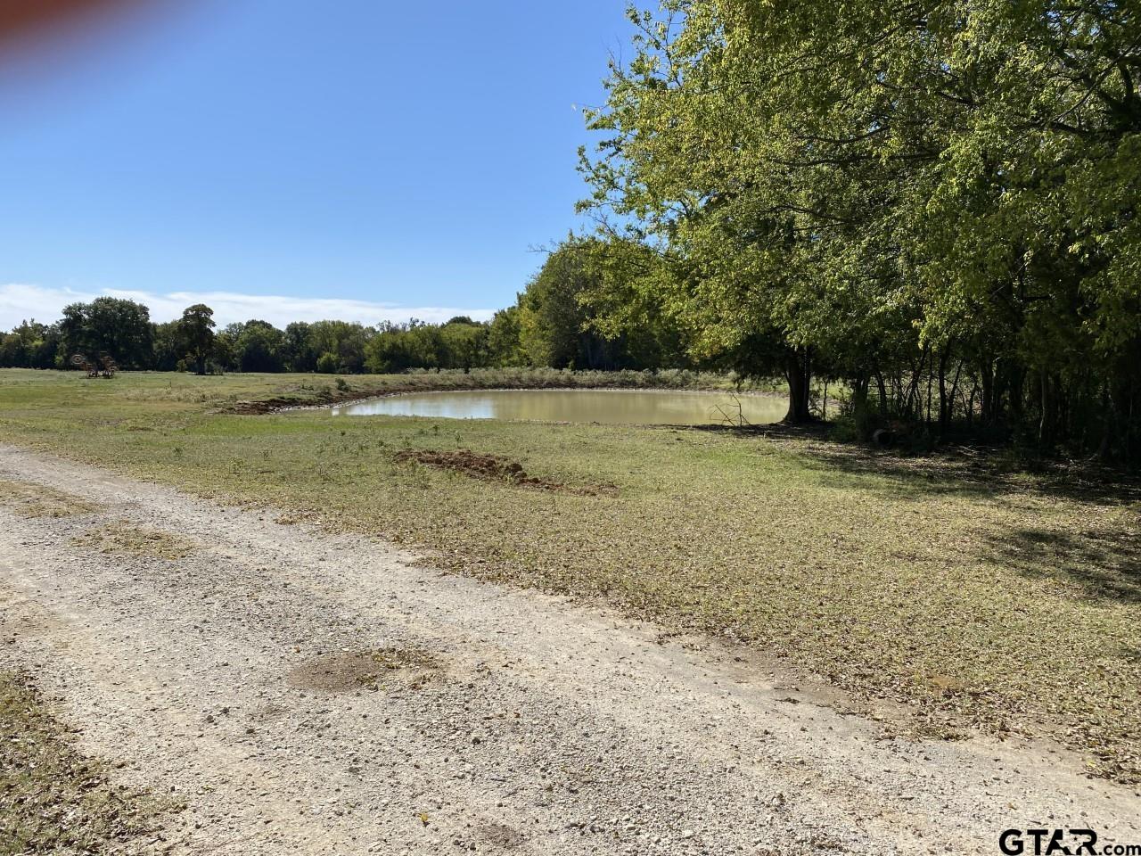 67 East Mt Vernon Tx 75457 Mount Vernon, TX 75457 - Photo 10 of 21