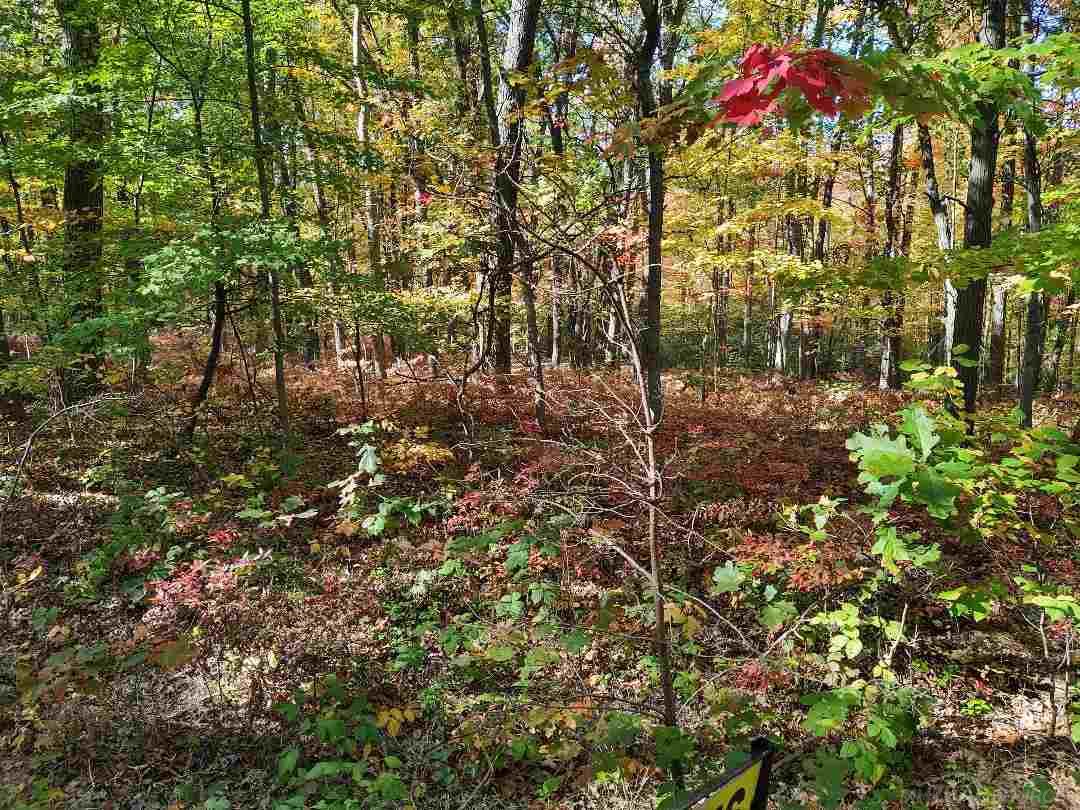 Sand Rd Port Port Austin, MI 48467 - Photo 2 of 5