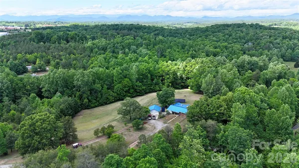 a view of a lush green forest with lots of trees