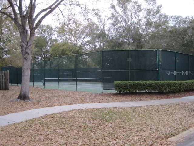 5415 Rutland Court Orlando, FL 32812 - Photo 23 of 25 a view of backyard with green space