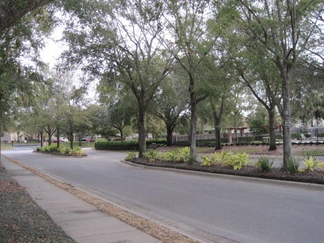 5415 Rutland Court Orlando, FL 32812 - Photo 24 of 25 a view of a street with a large tree