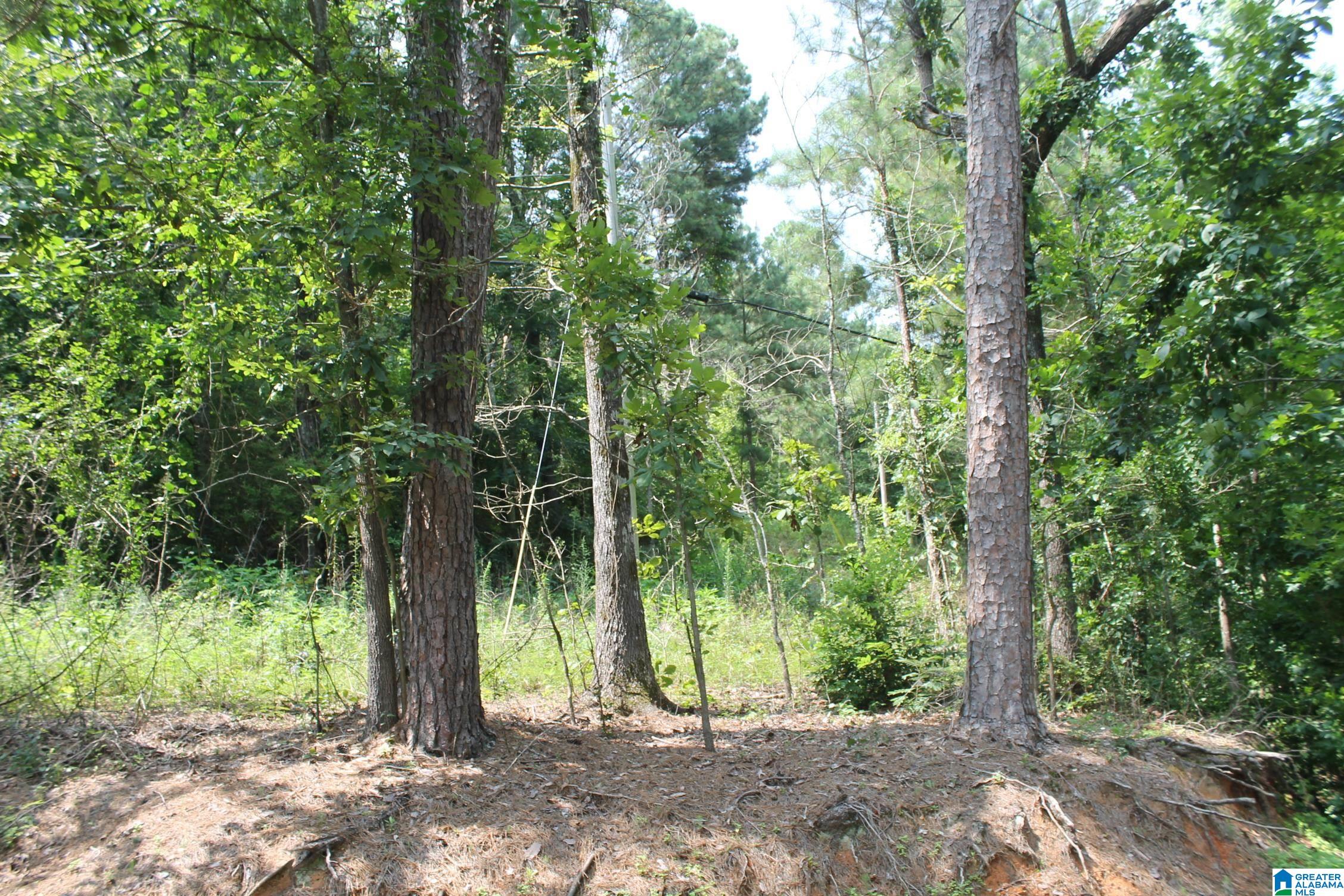 8086 Cavern Road, Unit 2 Trussville, AL 35173 - Photo 1 of 4