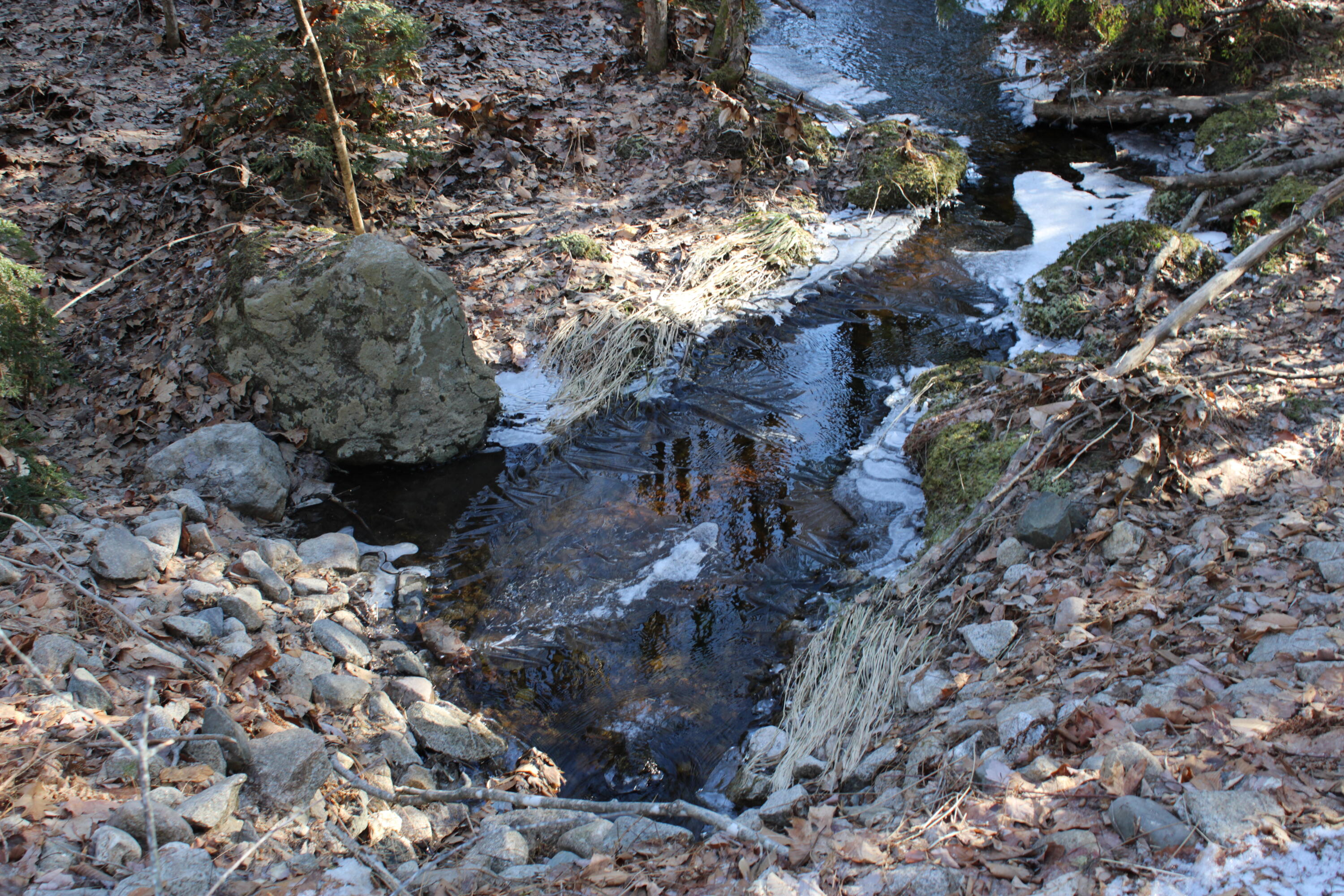 0 Senator Black Road West Baldwin, ME 04091 - Photo 4 of 16 senatorblackpic1