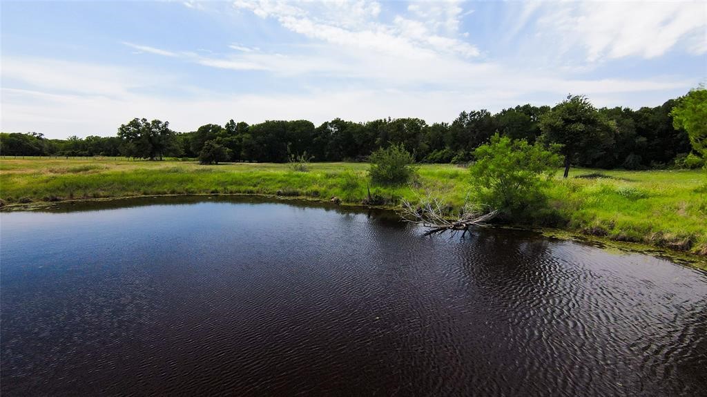 269 Balch Road Elgin, TX 78621 - Photo 12 of 39