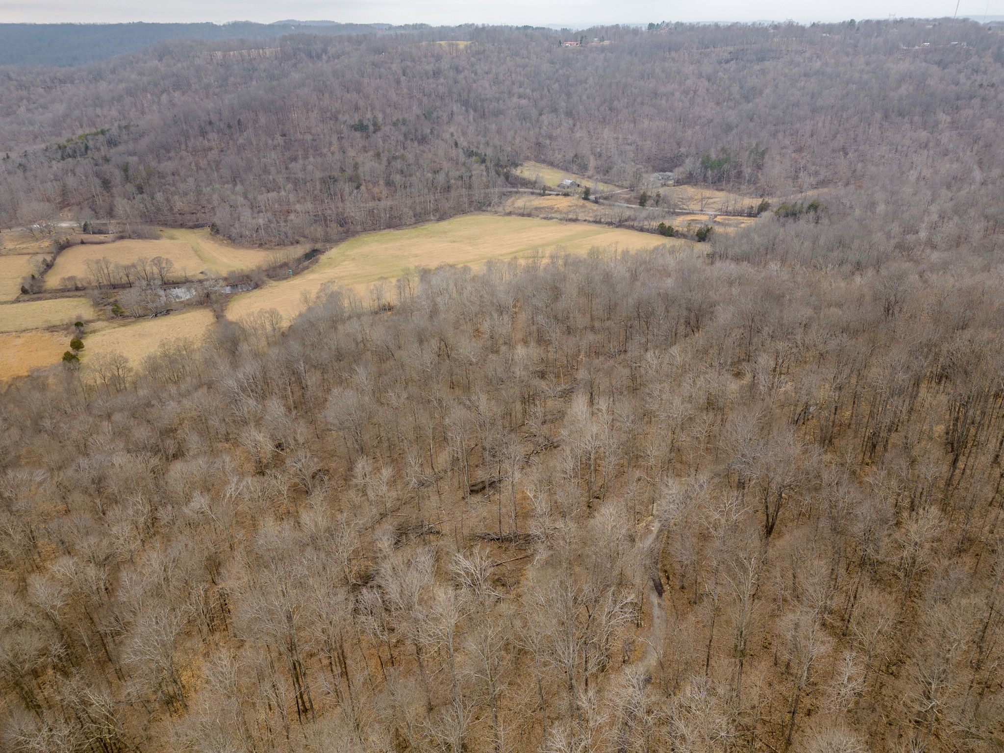 0 Round Cove Road Sparta, TN 38583 - Photo 11 of 17 Gallery Image 11